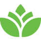 card-icon